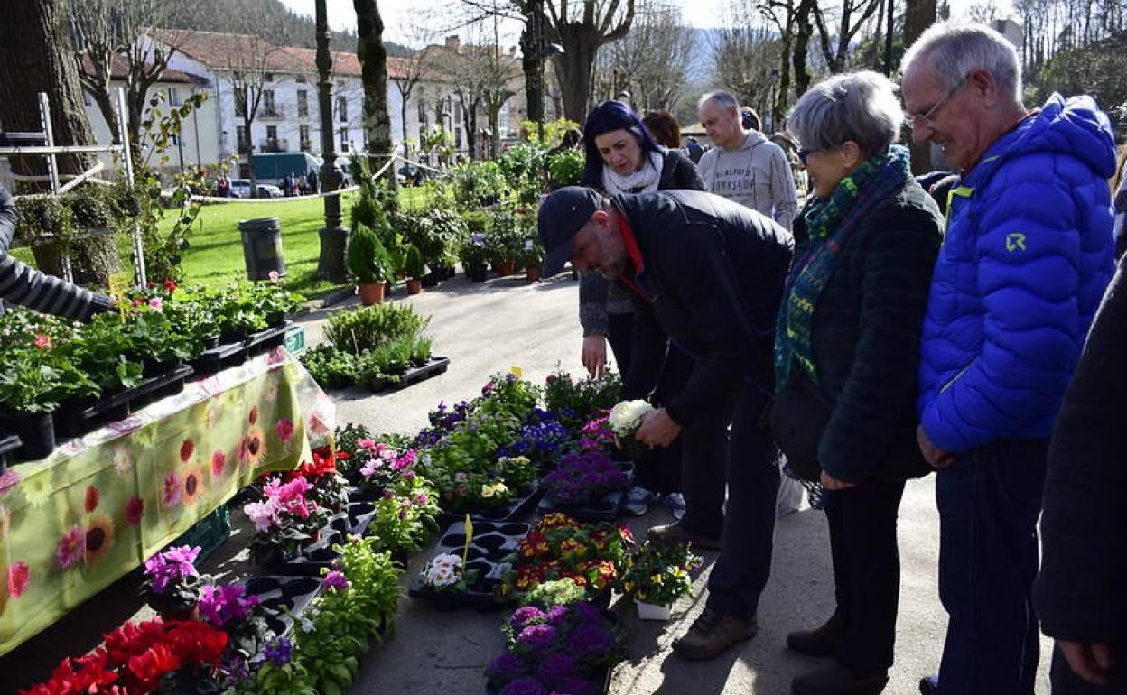 La feria de plantas y árboles de Markina vuelve a florecer con más de una  veintena de puestos | El Correo