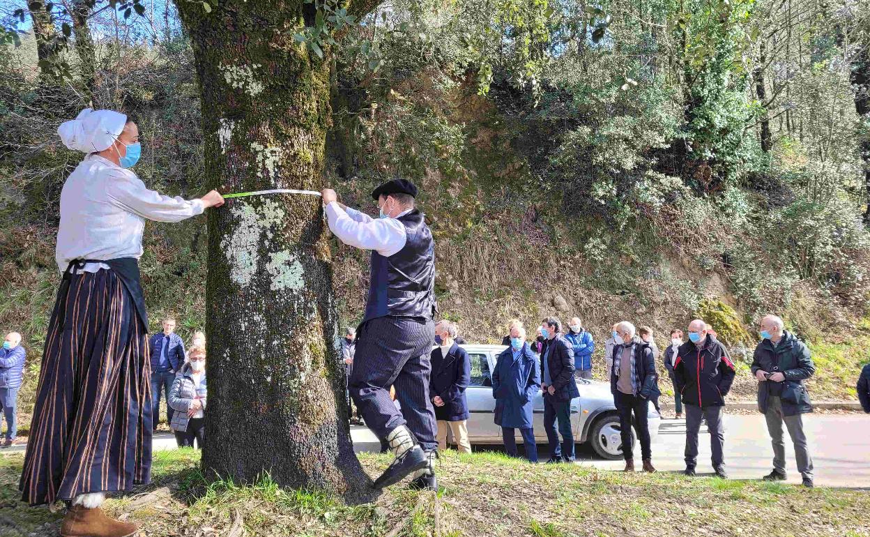 Irantzu Arana e Igor Itxaurraga han sido los encargados de medir la encina, que ha crecido tres milímetros./