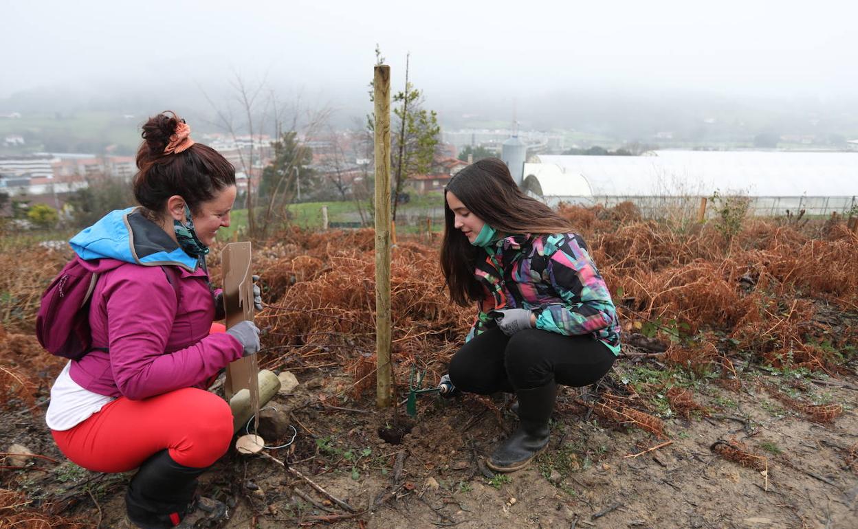 Las familias han soportado la lluvia y el frío para dar vida al nuevo bosque. 