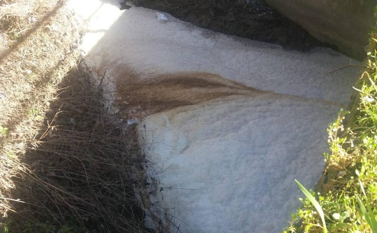 La espuma del vertido alcanzó 14 centímetros de altura. 