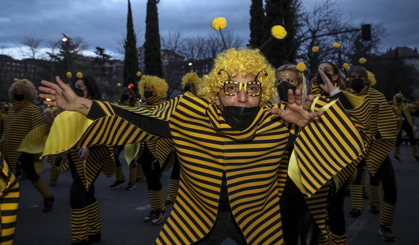 Fotos: Búscate en las fotos del desfile de comparsas del Carnaval