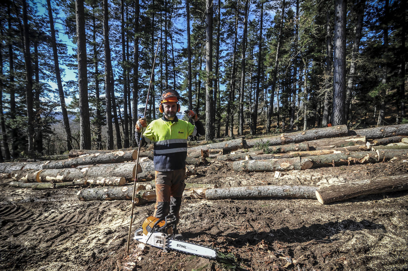 Fotos: Así trabajan los rematantes en Álava, uno de los oficios más duros que existen