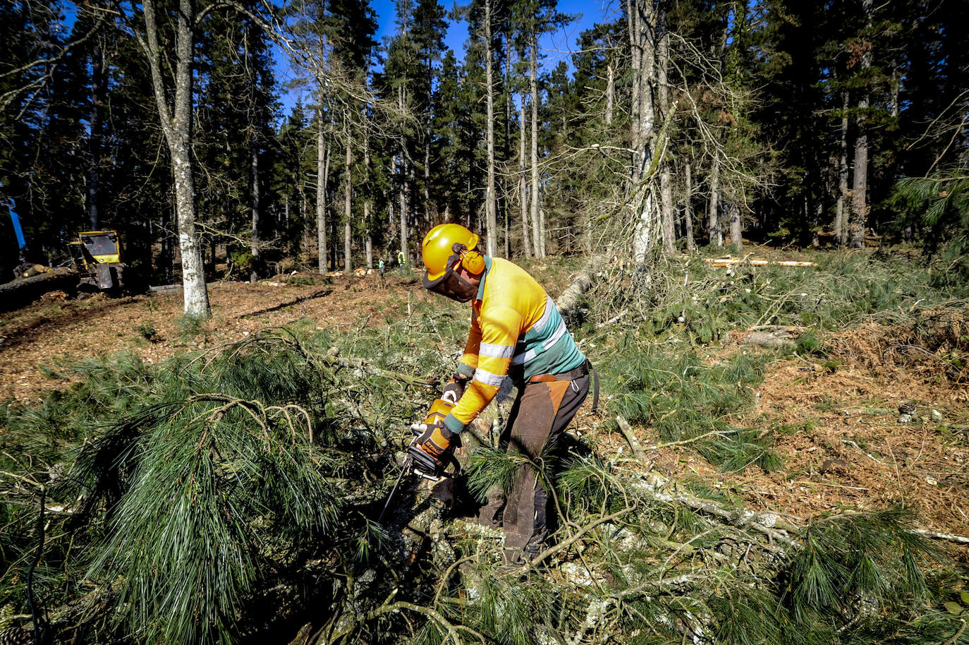 Fotos: Así trabajan los rematantes en Álava, uno de los oficios más duros que existen