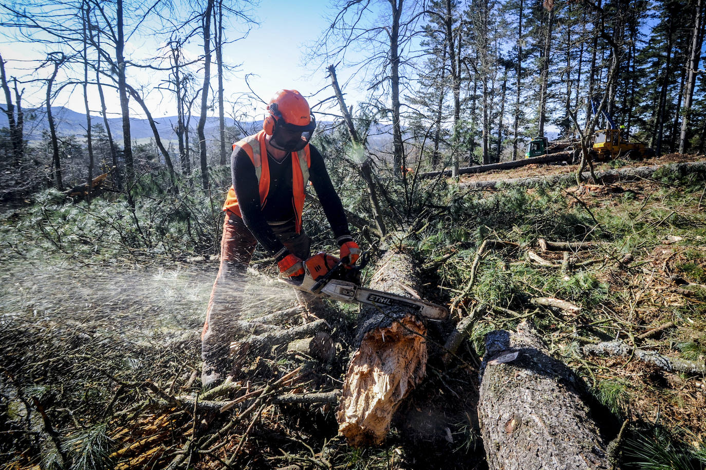 Fotos: Así trabajan los rematantes en Álava, uno de los oficios más duros que existen