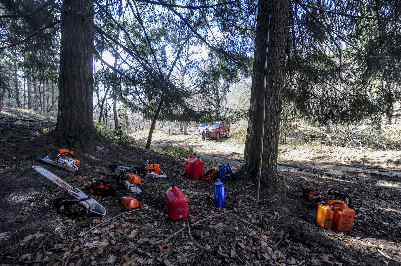Fotos: Así trabajan los rematantes en Álava, uno de los oficios más duros que existen
