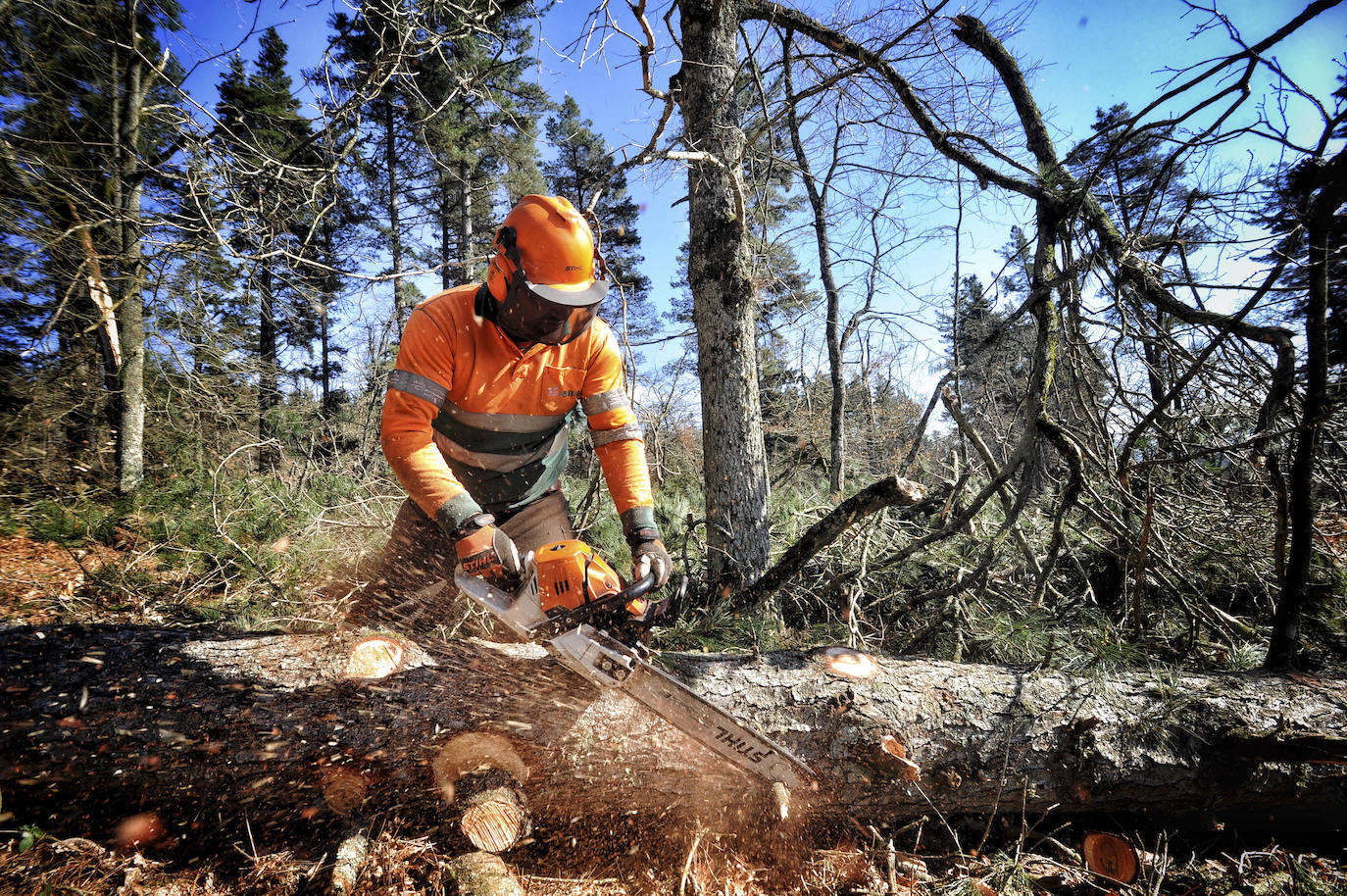 Fotos: Así trabajan los rematantes en Álava, uno de los oficios más duros que existen