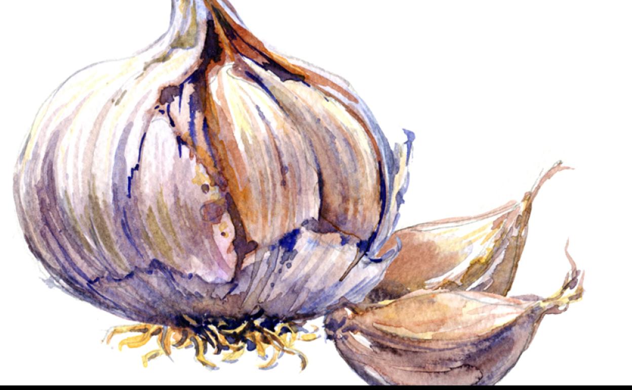 Ajo, por qué es un 'must' en nuestra cocina