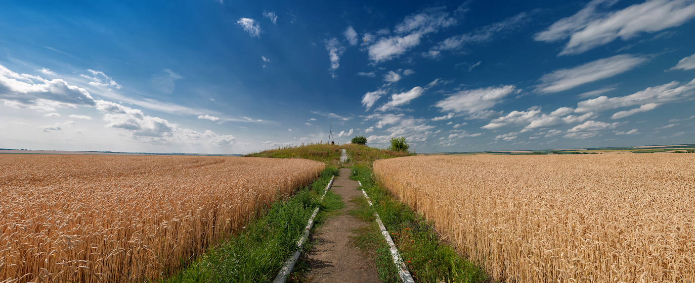 Es un conjunto monumental declarado Patrimonio de la Humanidad por la Unesco en 2005, ​ conformado por una serie de 34 hitos o vértices para mediciones geodésicas repartidos por diez países de Europa del Norte y Oriental.  