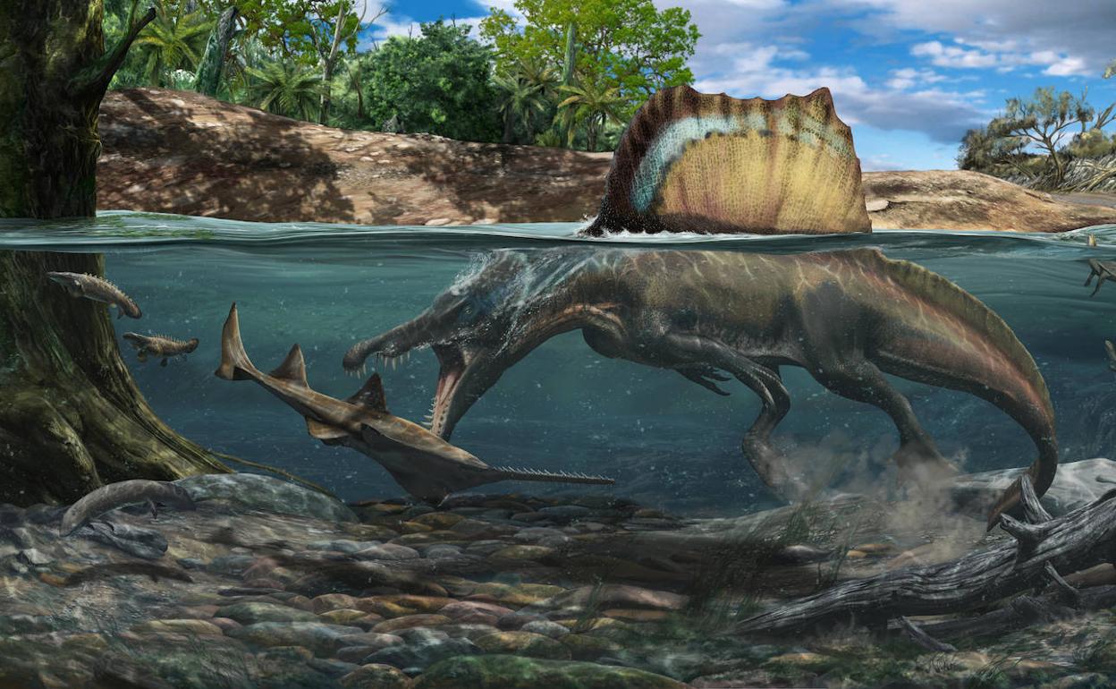El dinosaurio carnívoro más grande podía cazar bajo el agua | El Correo