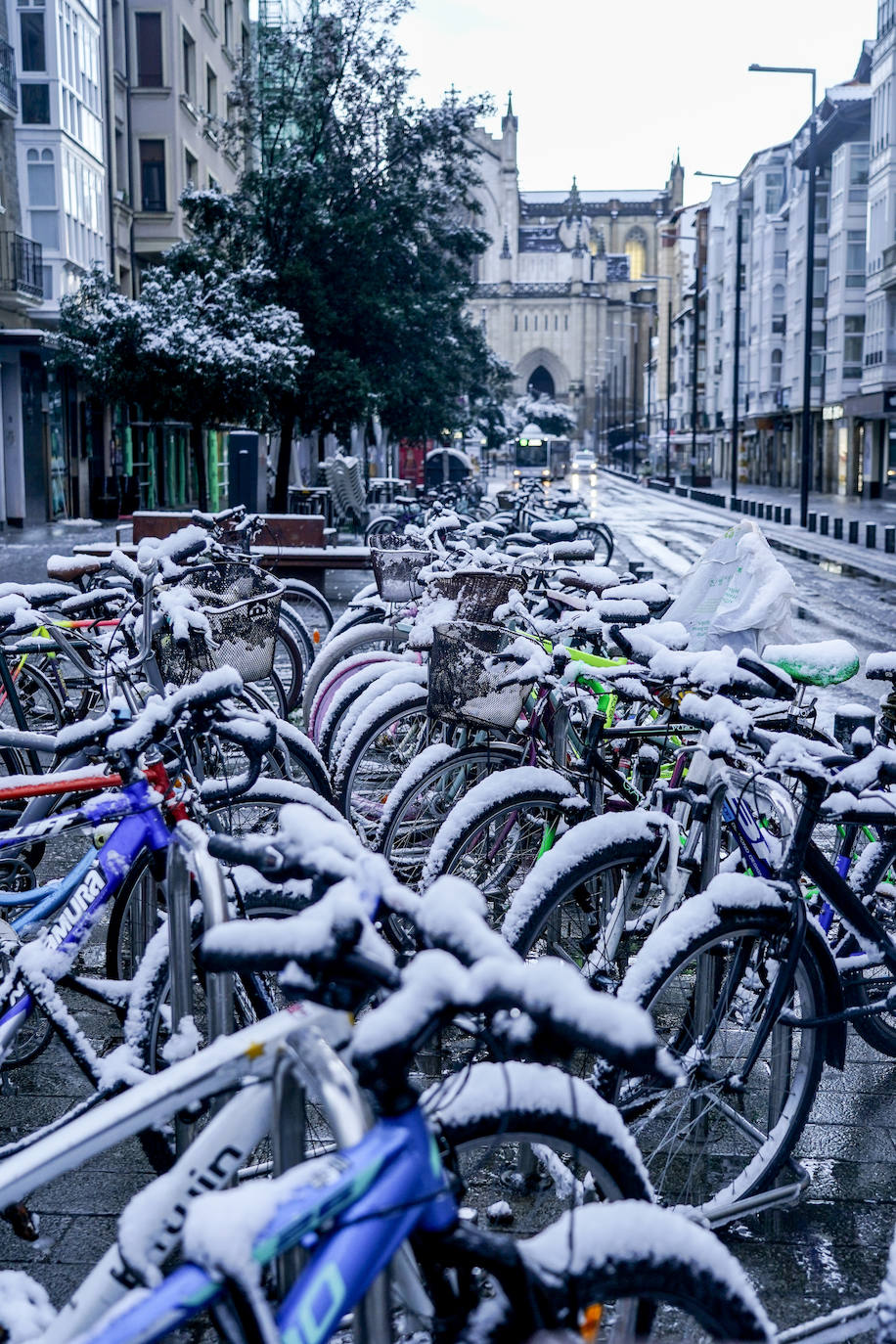 Fotos: El temporal de nieve sorprende a Vitoria y Álava en primavera