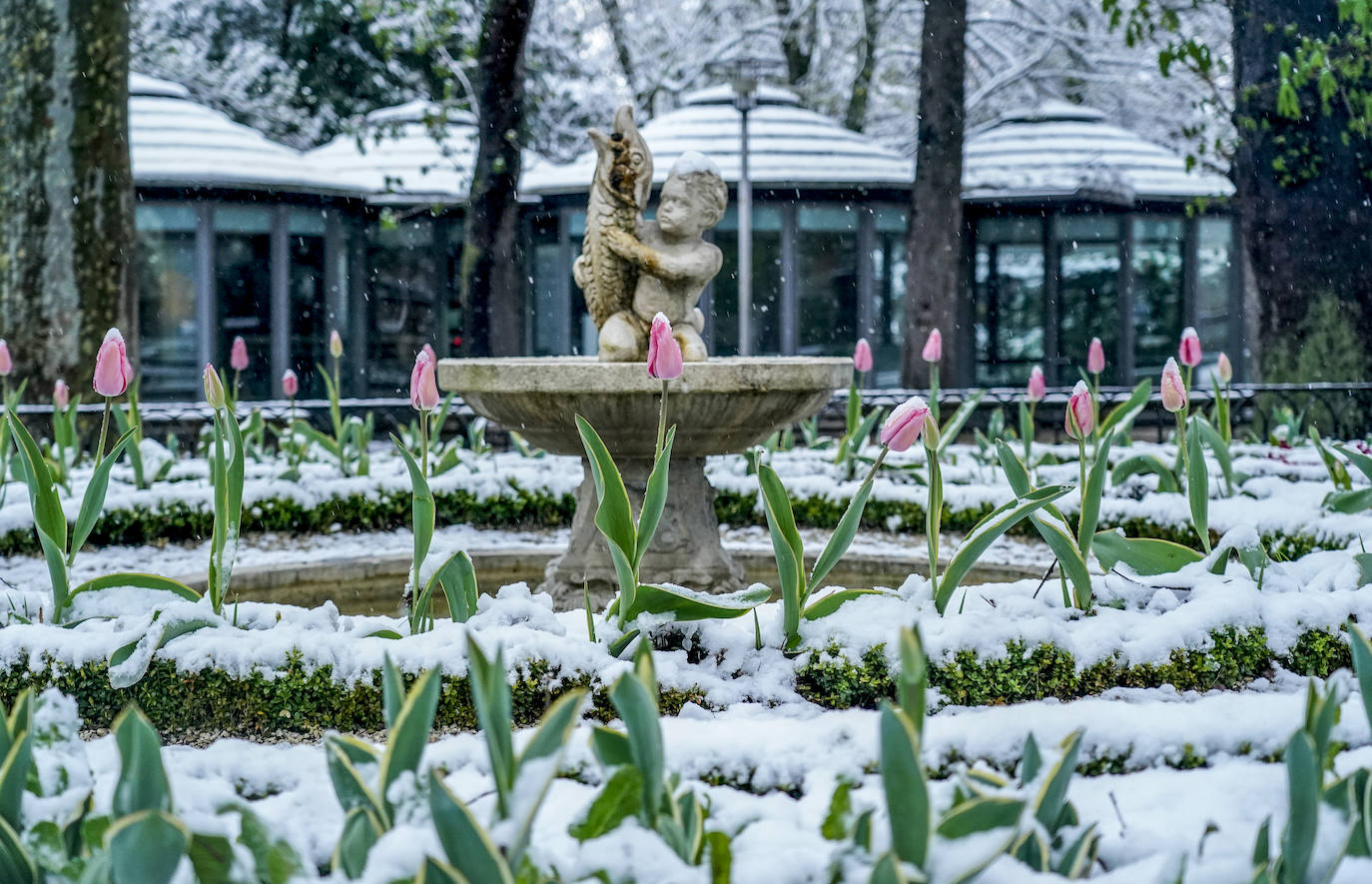 Fotos: El temporal de nieve sorprende a Vitoria y Álava en primavera