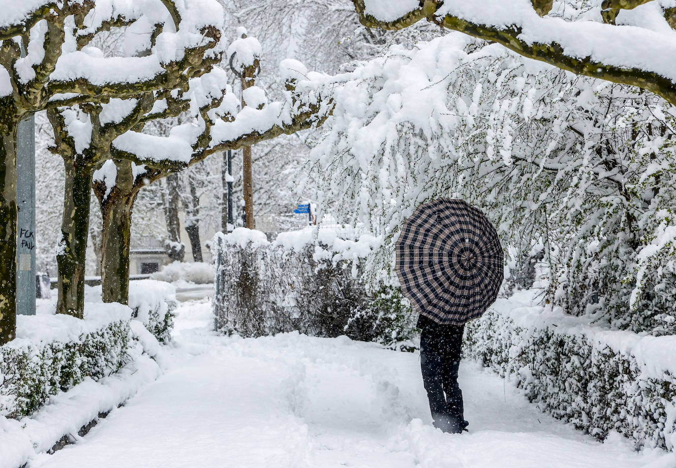 Fotos: El temporal de nieve sorprende a Vitoria y Álava en primavera