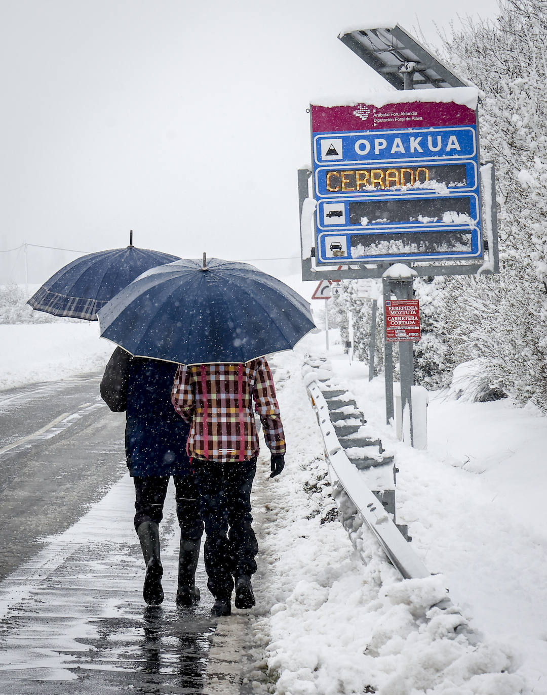 Fotos: El temporal de nieve sorprende a Vitoria y Álava en primavera