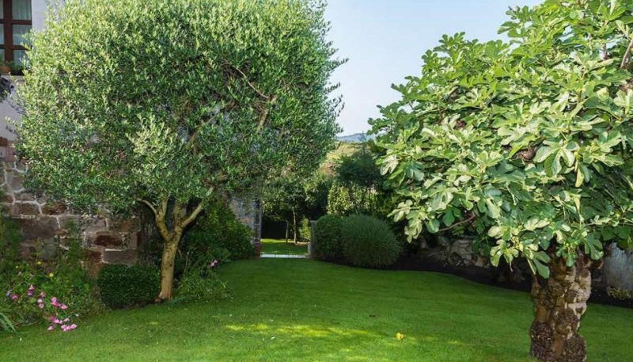 Fotos: Cinco chalets asombrosos en Bilbao por menos de lo que piensas