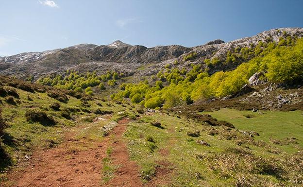 Prados y bosques en el sendero hacia Vega de Ario.