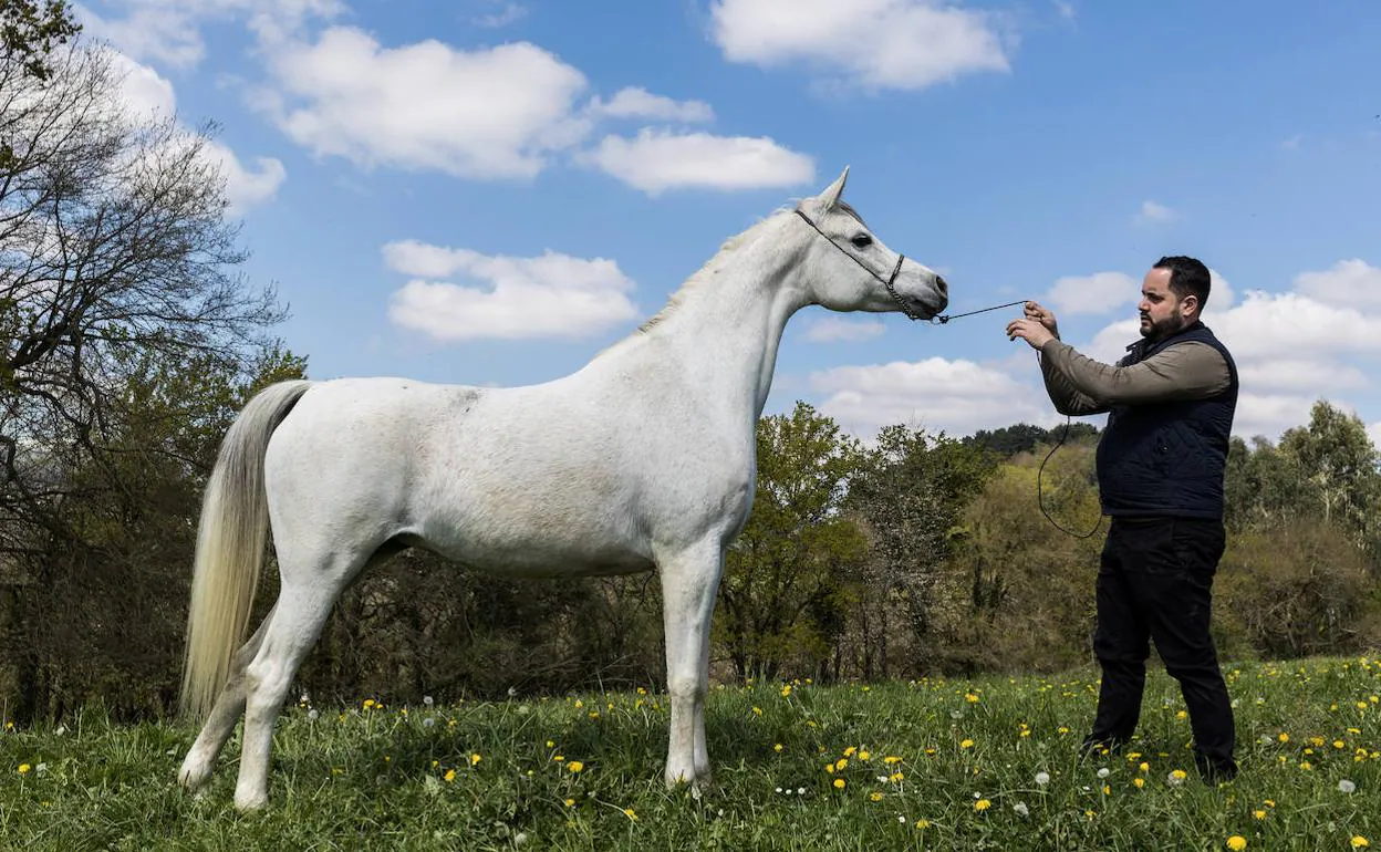 Txema Llamosas con Ajman, uno de los caballos árabes que cría y monta cuando el oficio le deja tiempo libre.