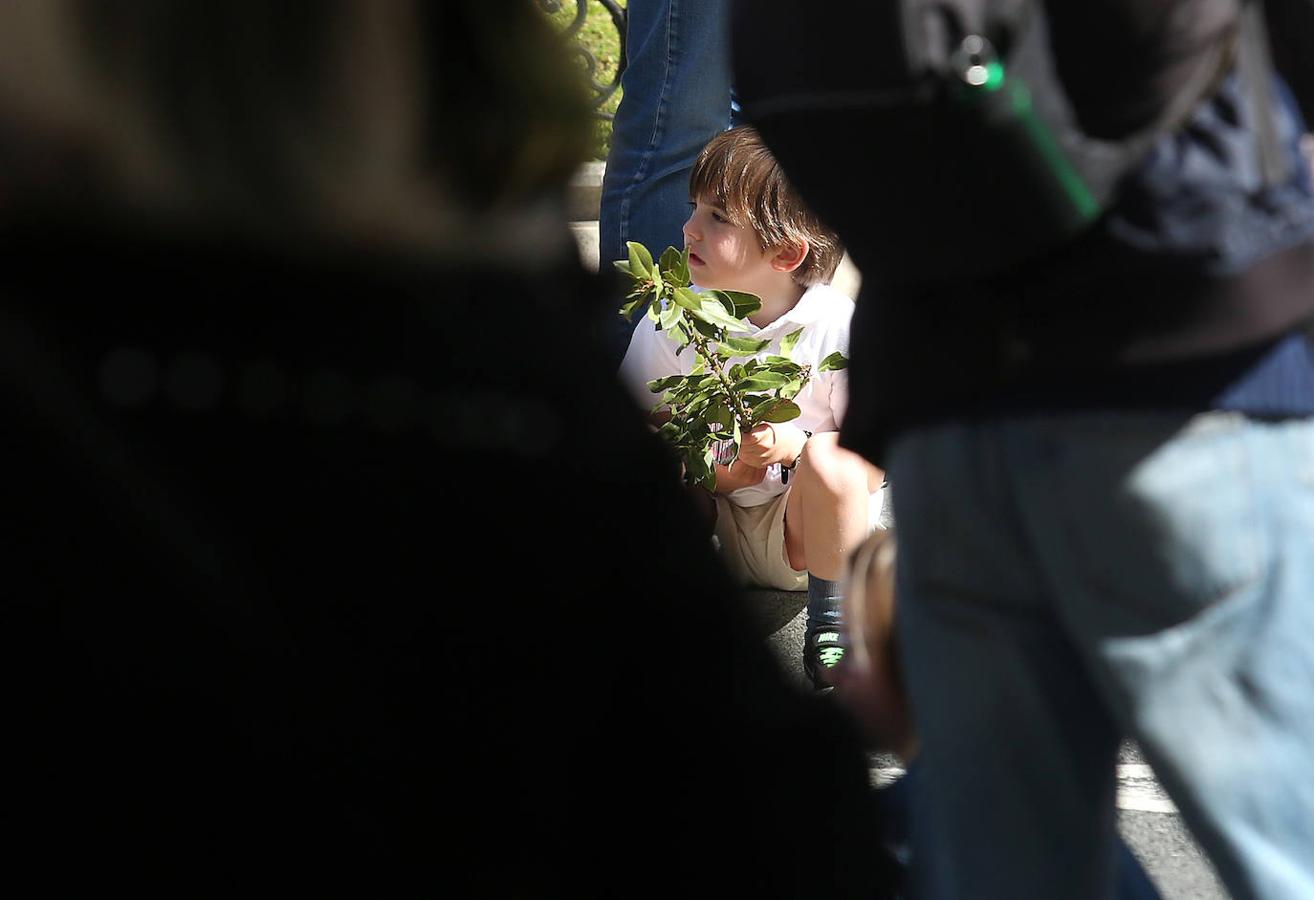 Fotos: La procesión del Borriquito triunfa en Bilbao