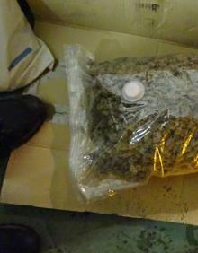 Imagen secundaria 2 - Desmantelan una plantación con más de mil ejemplares de marihuana en Trapagaran