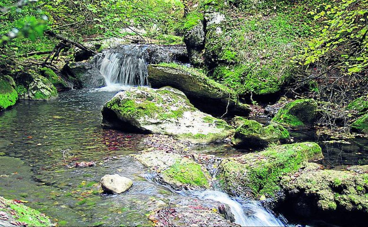 El arroyo forma en su recorrido pequeños saltos en la roca.