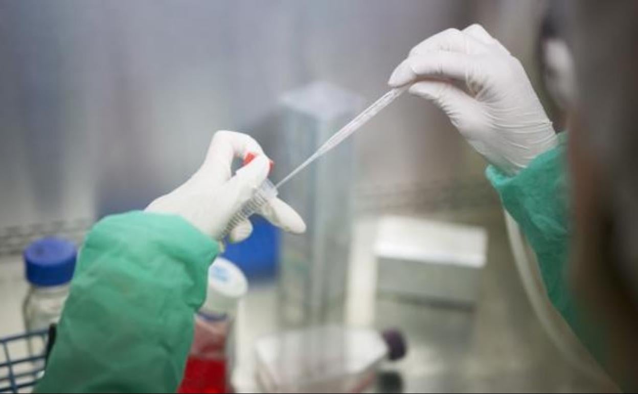 Crean el primer anticuerpo que ataca las células madre del cáncer