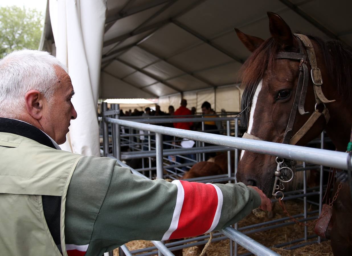 Fotos: Las mejores imágenes de la feria ganadera de Trucíos