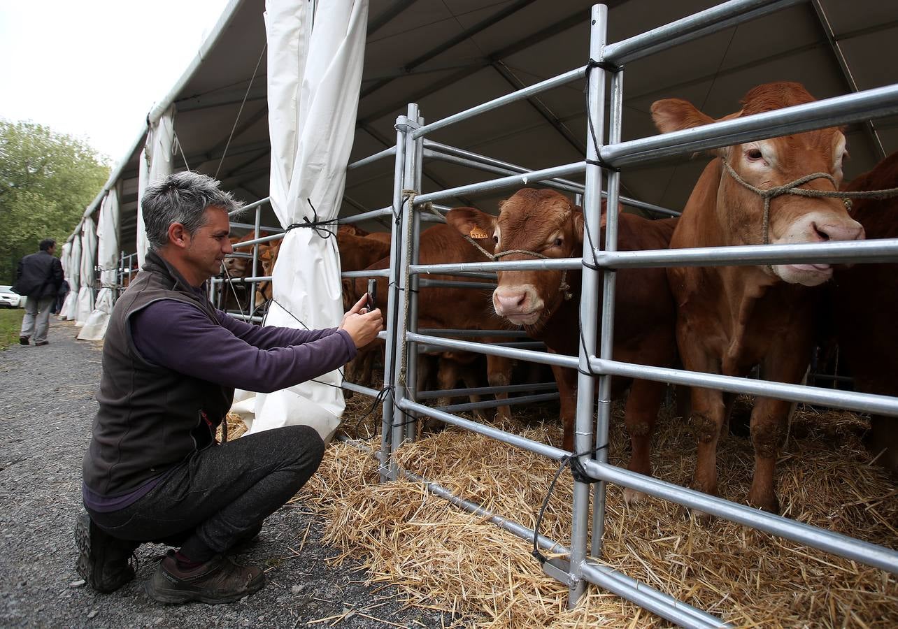 Fotos: Las mejores imágenes de la feria ganadera de Trucíos