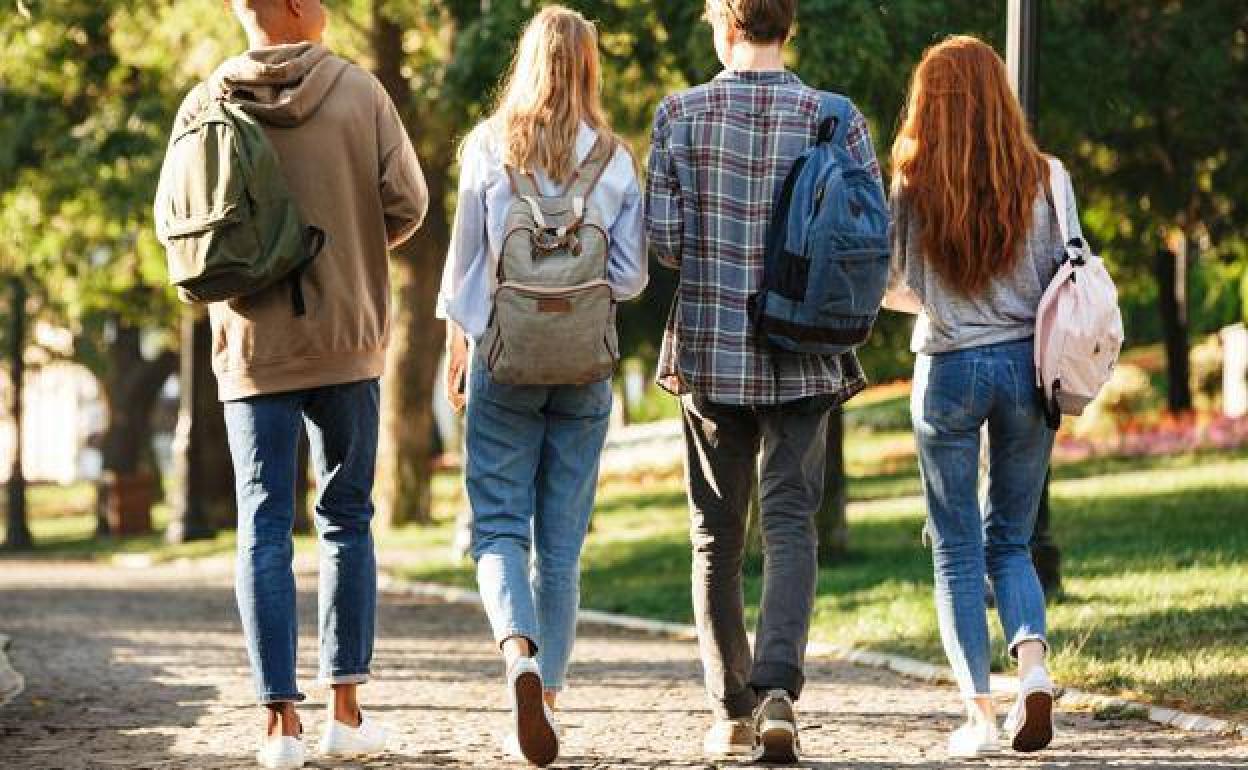 El próximo estudio abordará la situación de la juventud vasca y se presentará en septiembre