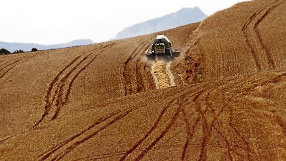 Soberanía energética y respeto al medio rural para hacer frente a la crisis por la guerra en Ucrania