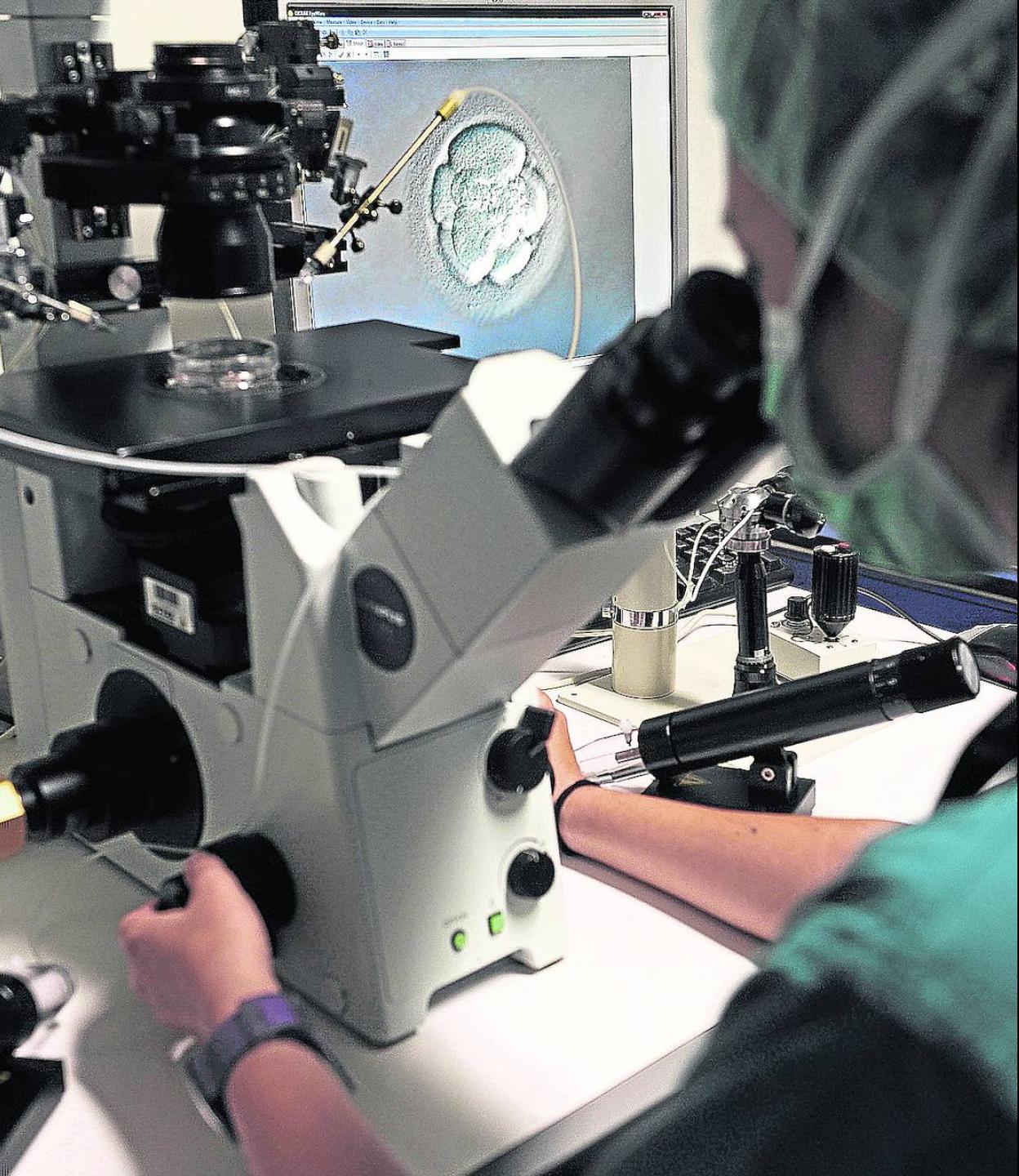 La Unidad de Reproducción Asistida de Cruces desarrolla este programa de fertilidad. 