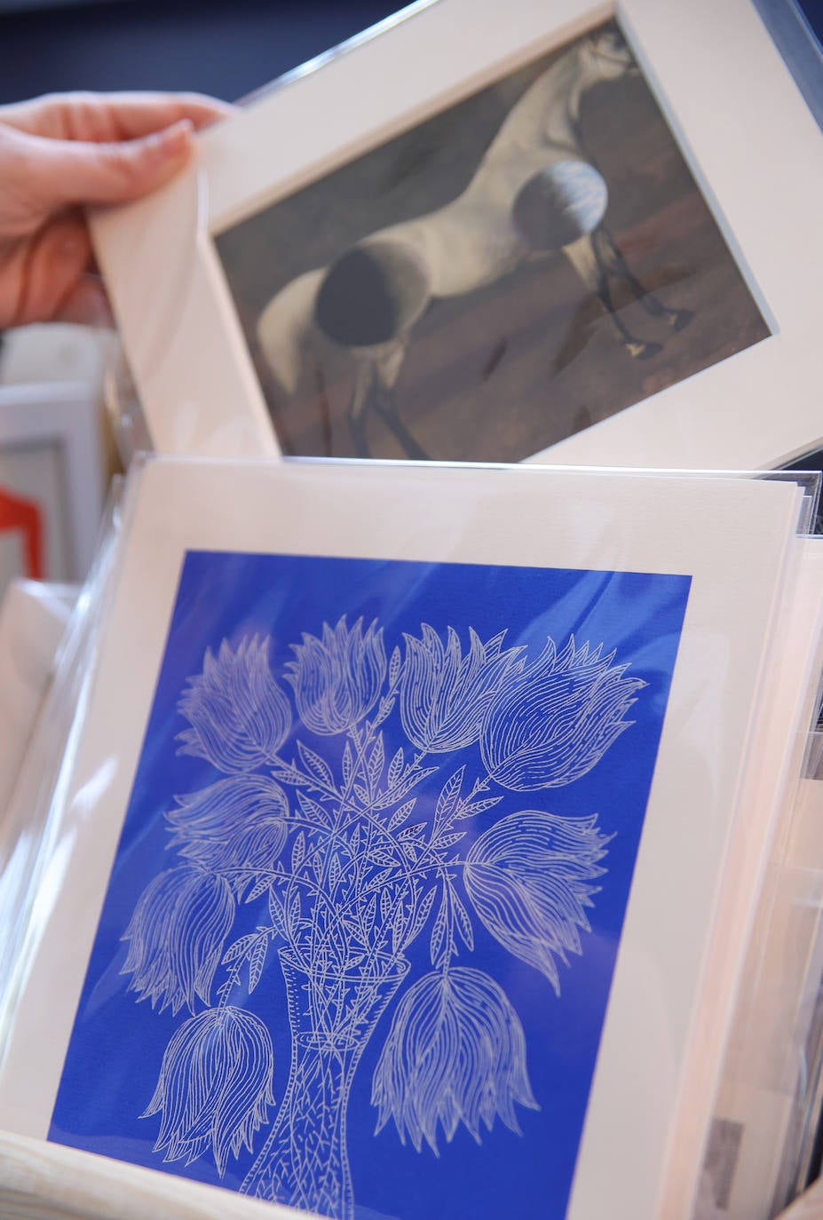 Fotos: Una antigua lechería convertida en la librería más &#039;cool&#039; de Uribarri