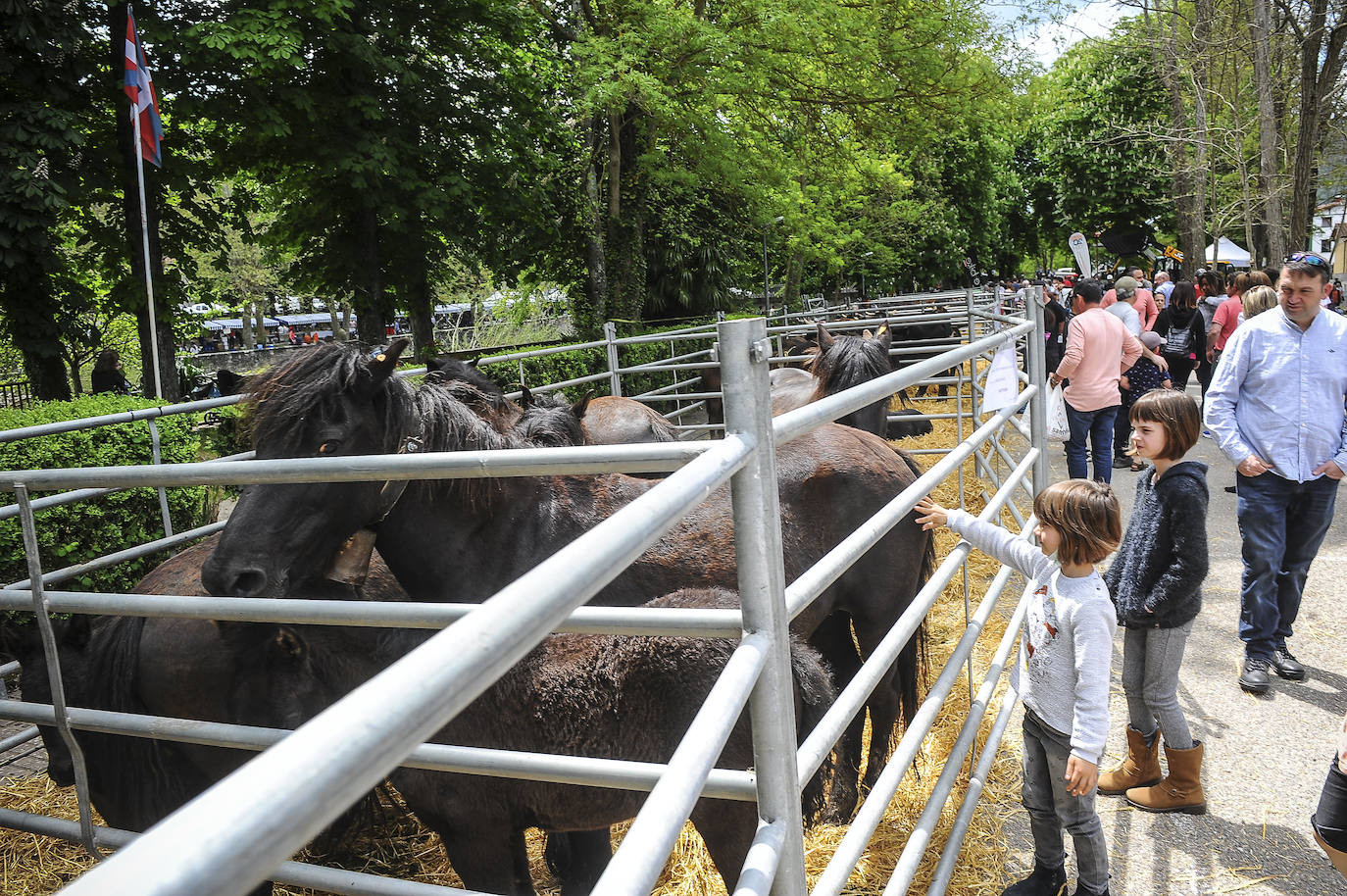 Fotos: Ambientazo en la Feria del Perritxiko de Kuartango