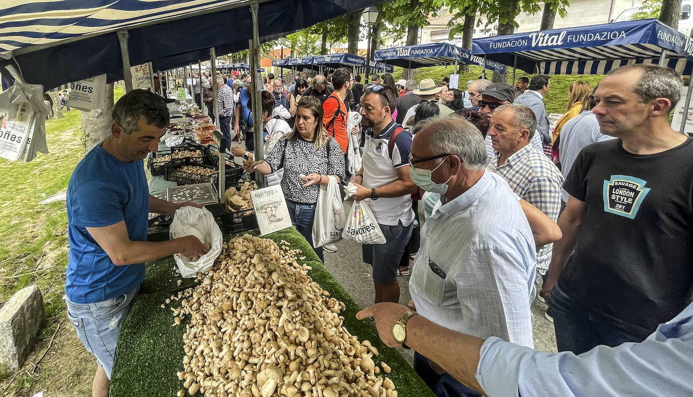 Fotos: Ambientazo en la Feria del Perritxiko de Kuartango