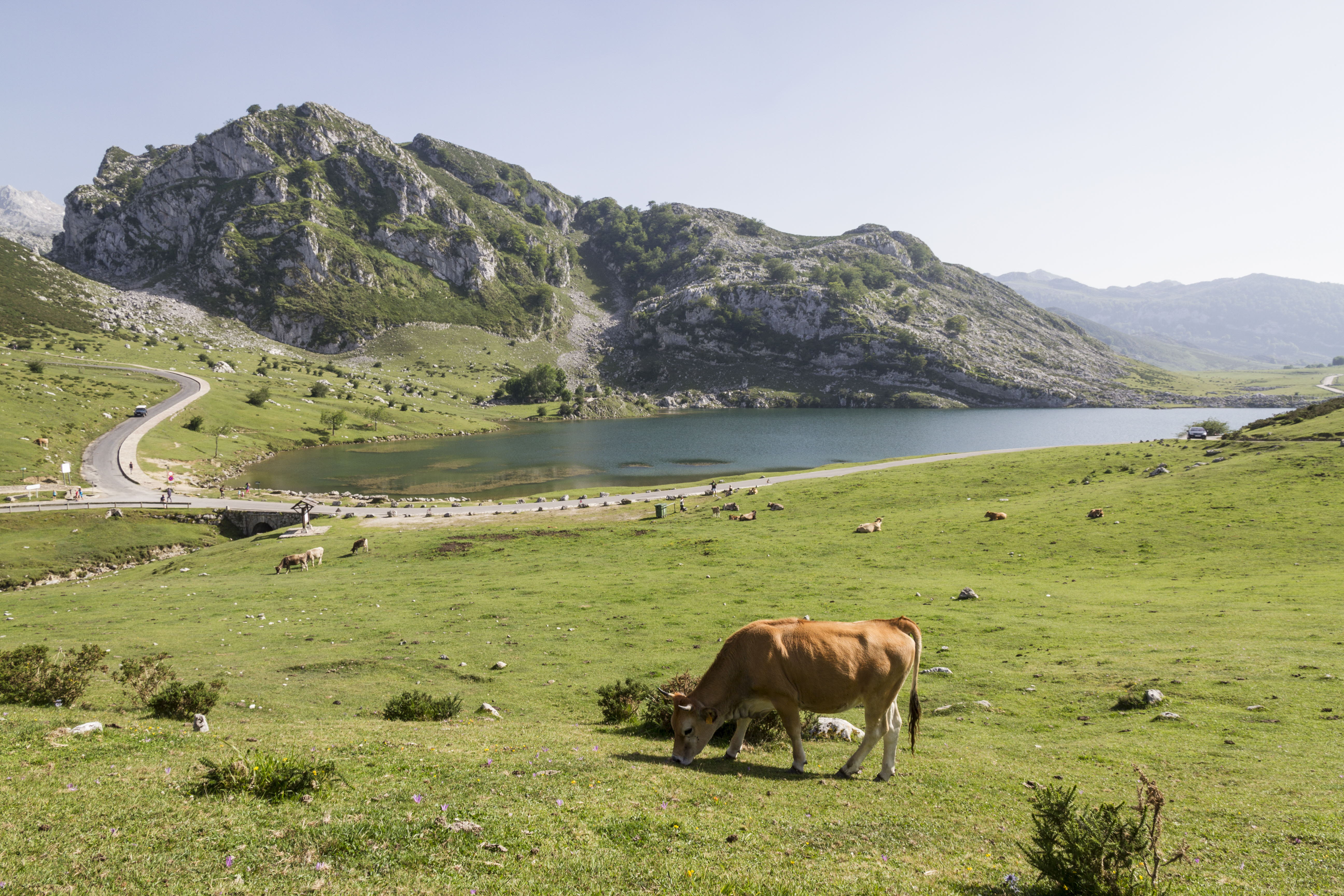 Lagos de Covadonga, Asturias.