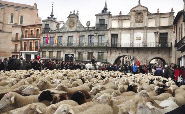 Los rebaños cruzan Medina del Campo.