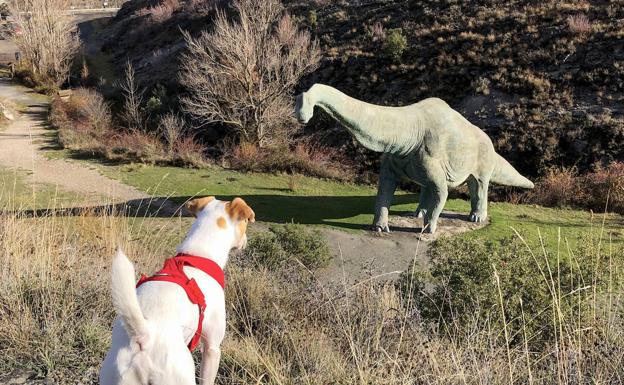 Al acecho de un dinosaurio.