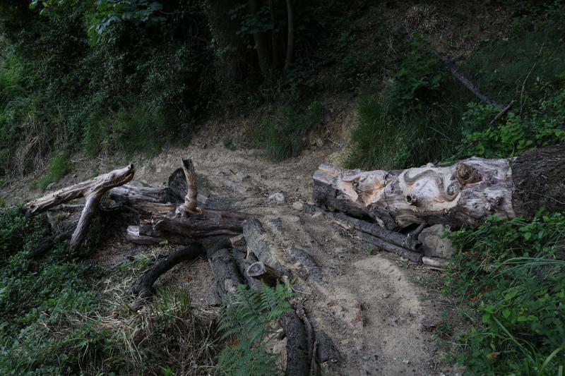 Fotos: Aparecen unas misteriosas tallas en Atxanda