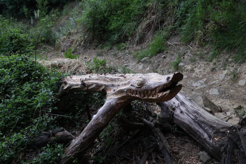 Fotos: Aparecen unas misteriosas tallas en Atxanda