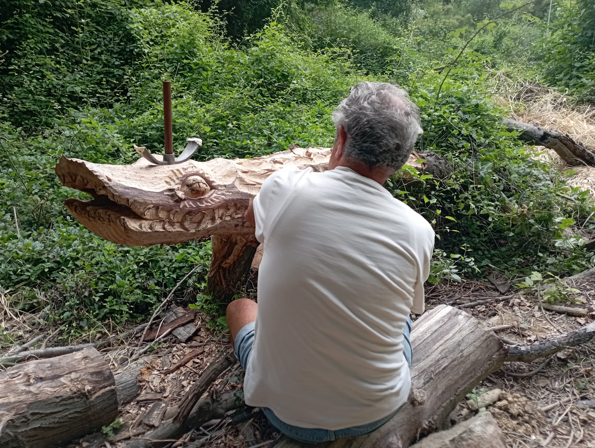 Fotos: Aparecen unas misteriosas tallas en Atxanda