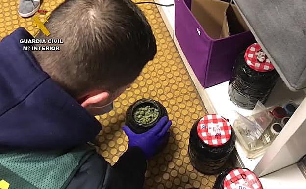 Guardia Civil: Desmantelada una asociación cannábica en Ermua que se dedicaba al tráfico y cultivo de drogas