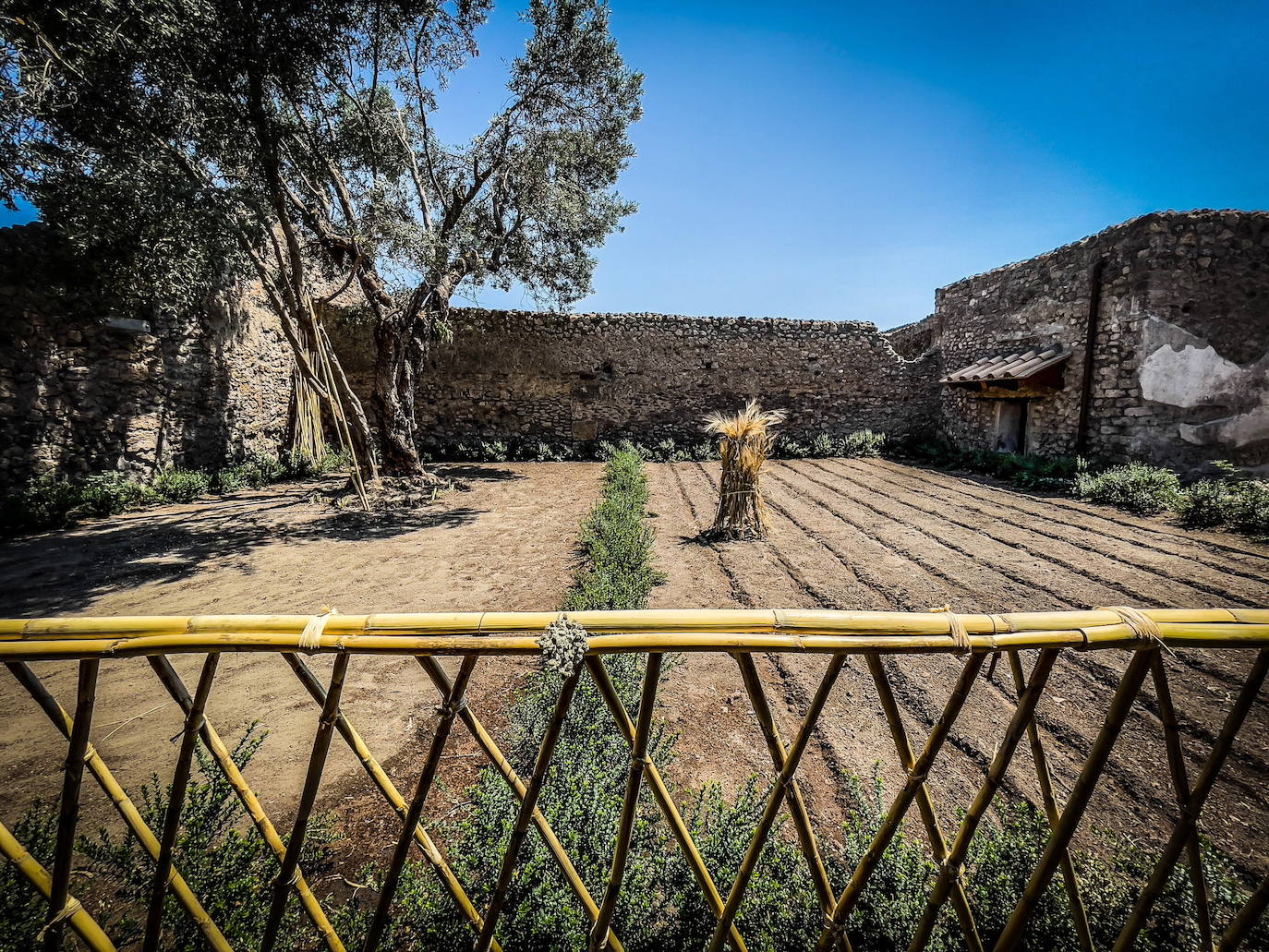 Fotos: Pompeya descubre sus nuevos tesoros