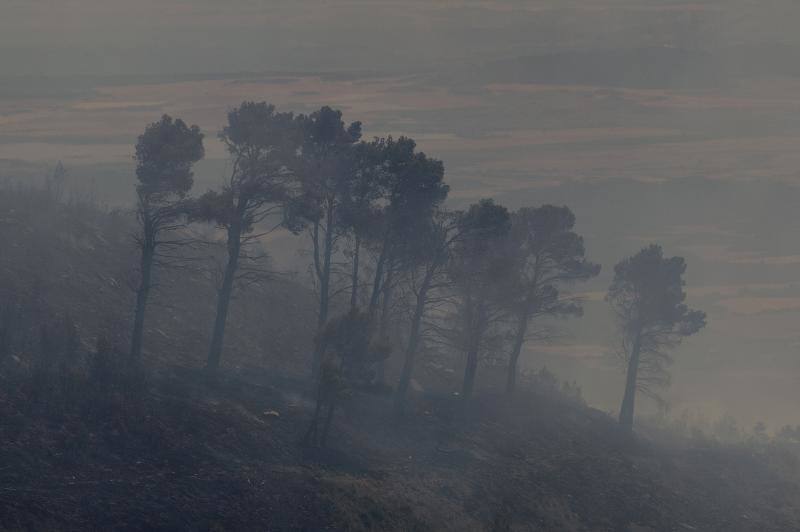 Fotos: Navarra arde por el calor extremo