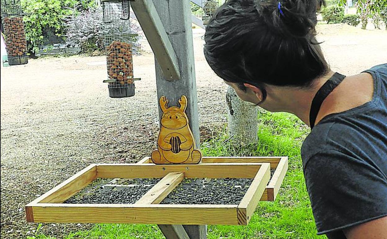 El parque dispone de una zona con comederos para pájaros.