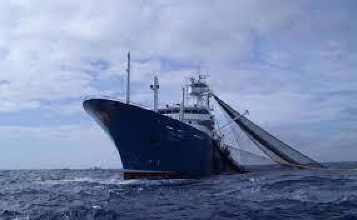 Un 20% de las capturas de atún en el mundo se pesca de forma ilegal. 