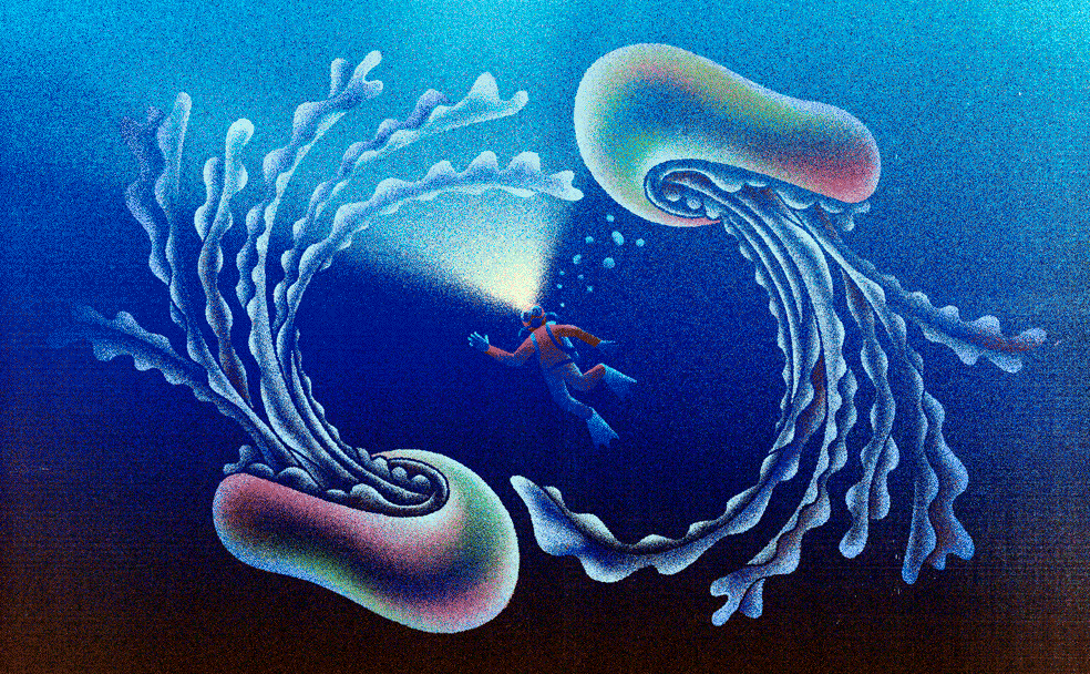 Los luminosos cerebros de medusa