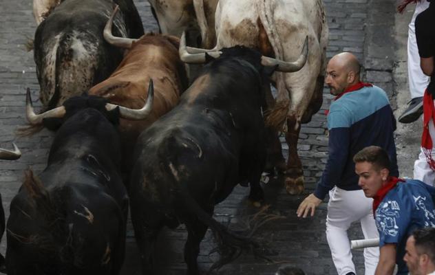 Las reses de la ganadería de La Palmosilla, a la carrera. 