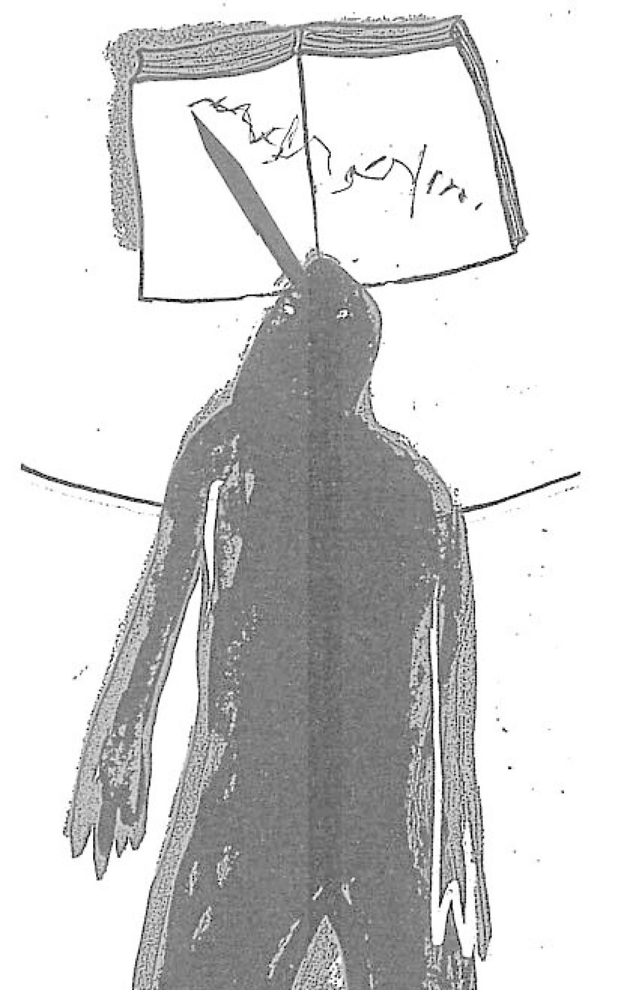 Palabras sobre el precipicio