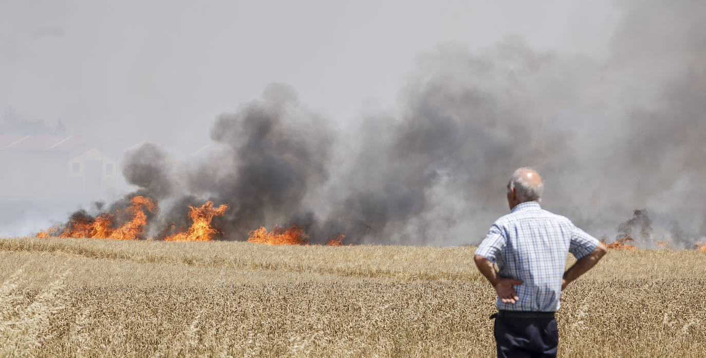 Fotos: El incendio entre Argandoña y Villafranca, en imágenes