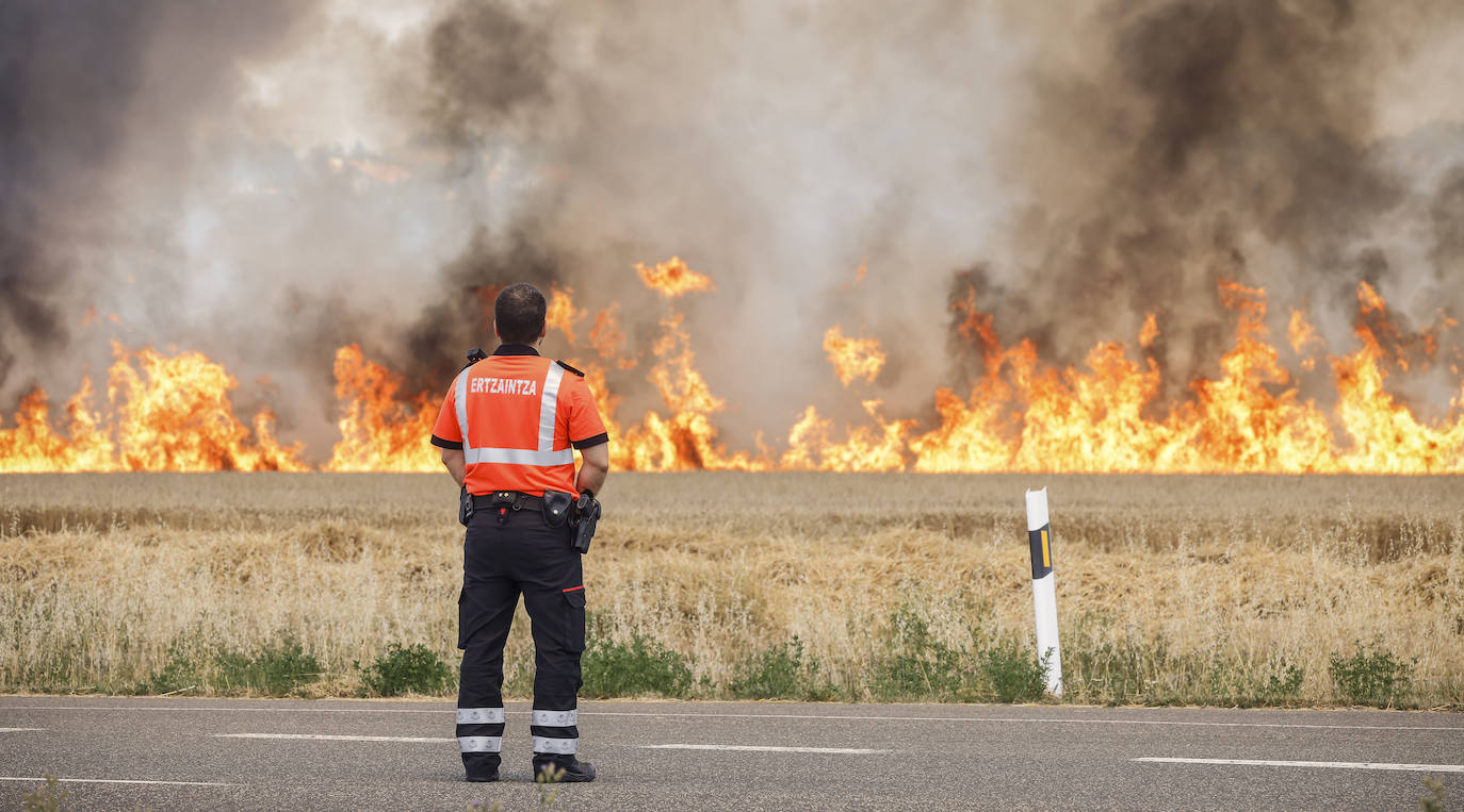 Fotos: El incendio entre Argandoña y Villafranca, en imágenes