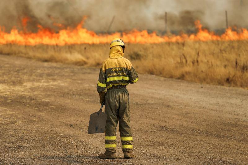 Fotos: Los incendios devoran Zamora