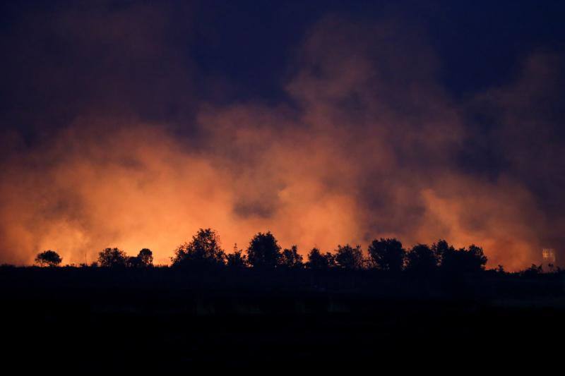 Fotos: Los incendios devoran Zamora